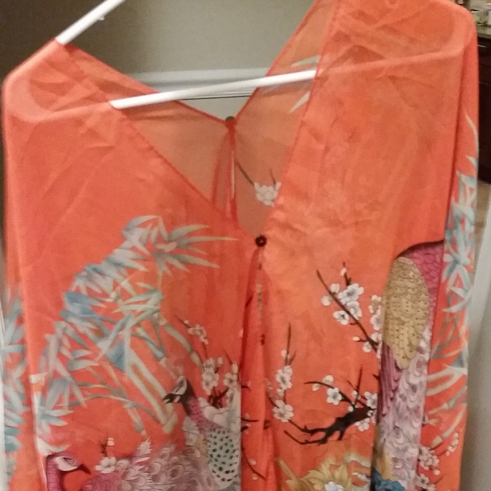 Sheer Orange Top with Phoenix Detailing